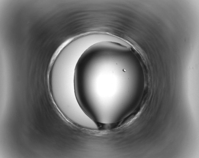 X0000086001196200704091032