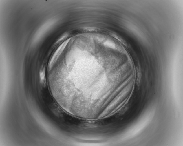 X0000086001198200704091032