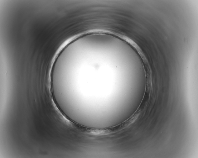 X0000086001199200704091032