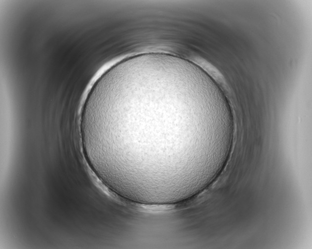 X0000086001200200704091032