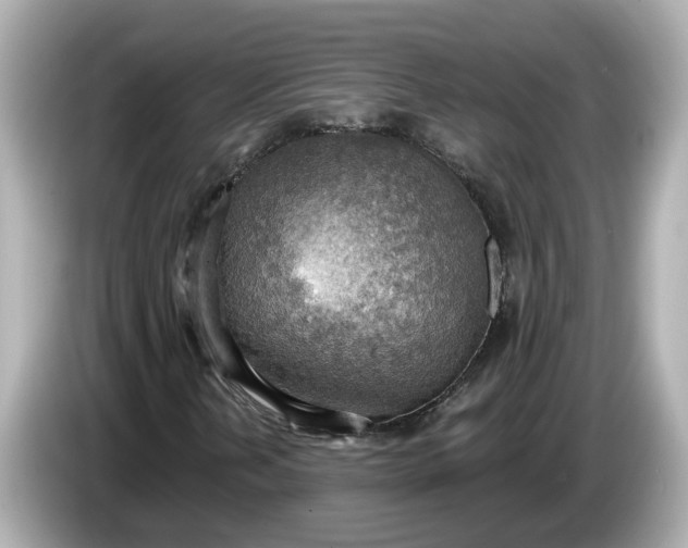 X0000086001202200704091031