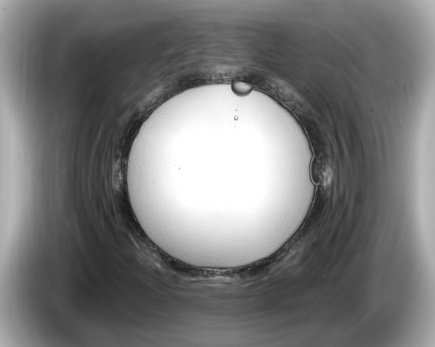 X0000086001204200704091031