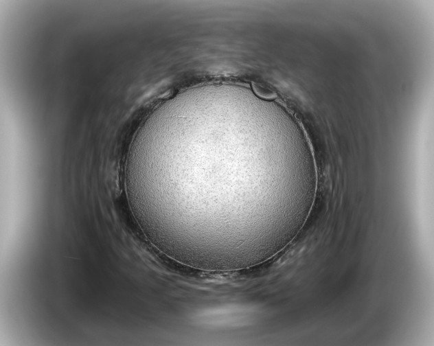 X0000086001205200704091031