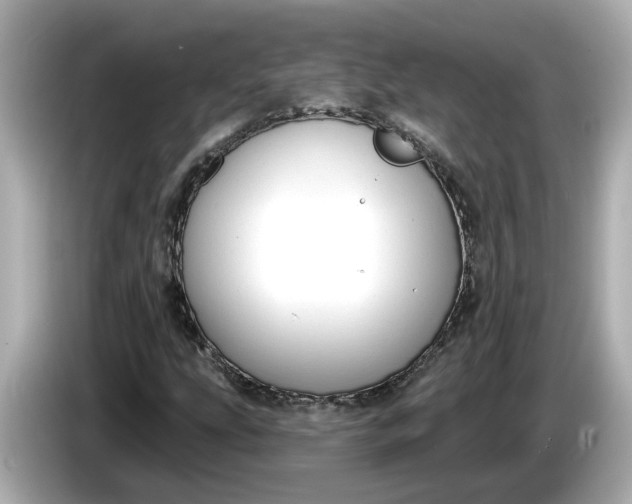 X0000086001207200704091031