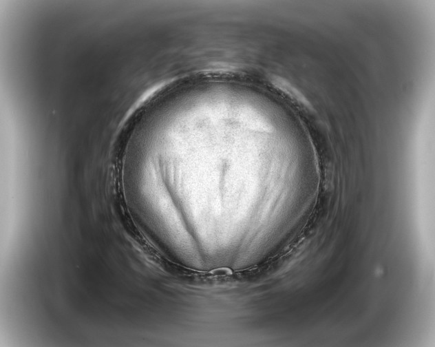 X0000086001208200704091031