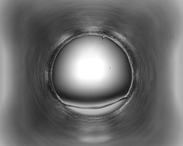 X0000086001209200704091031