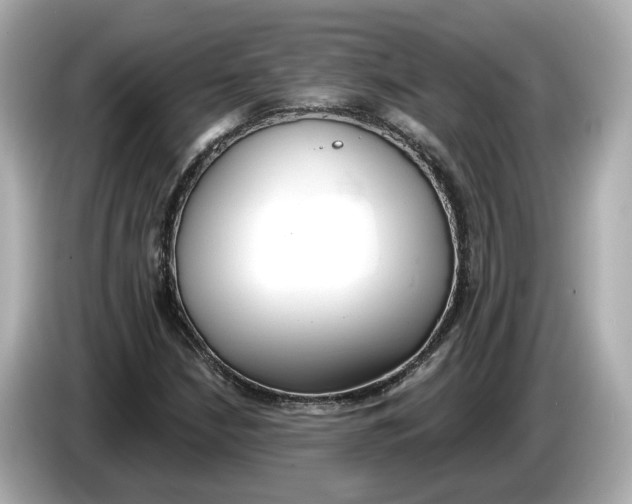 X0000086001210200704091031