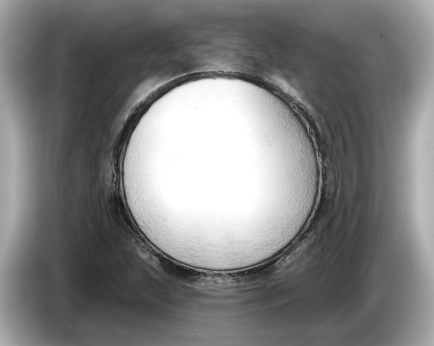 X0000086001215200704091031