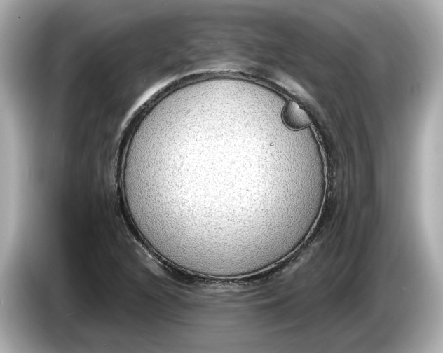 X0000086001216200704091031