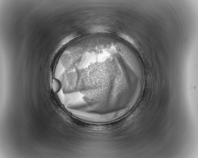 X0000086001219200704091031