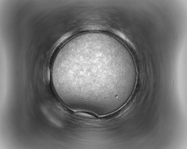 X0000086001221200704091031