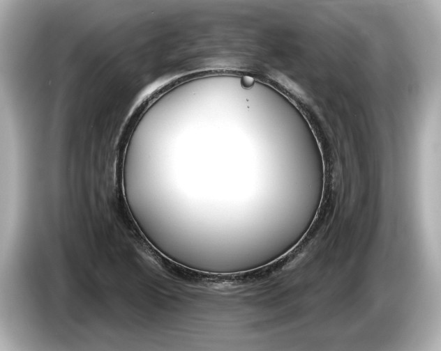 X0000086001222200704091031