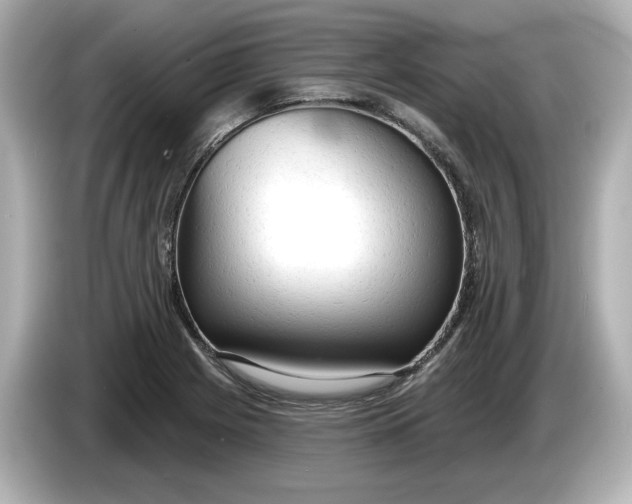 X0000086001225200704091031