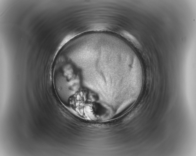 X0000086001226200704091031