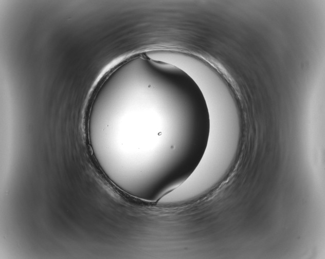 X0000086001230200704091031