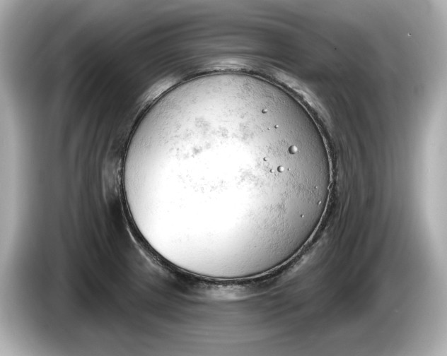 X0000086001233200704091031