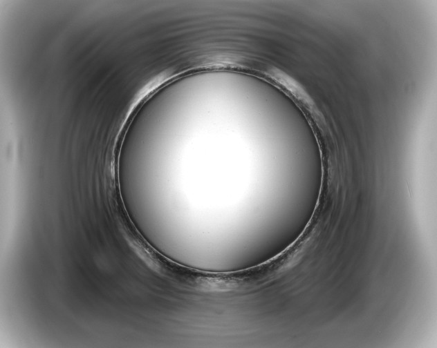 X0000086001234200704091031