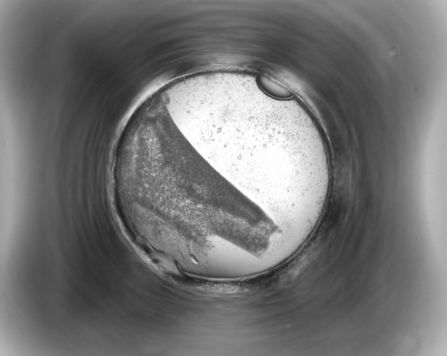 X0000086001235200704091031