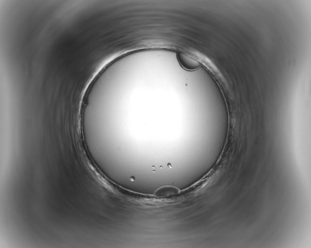 X0000086001236200704091031