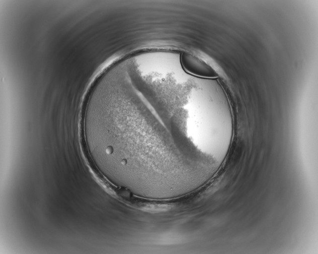 X0000086001237200704091031