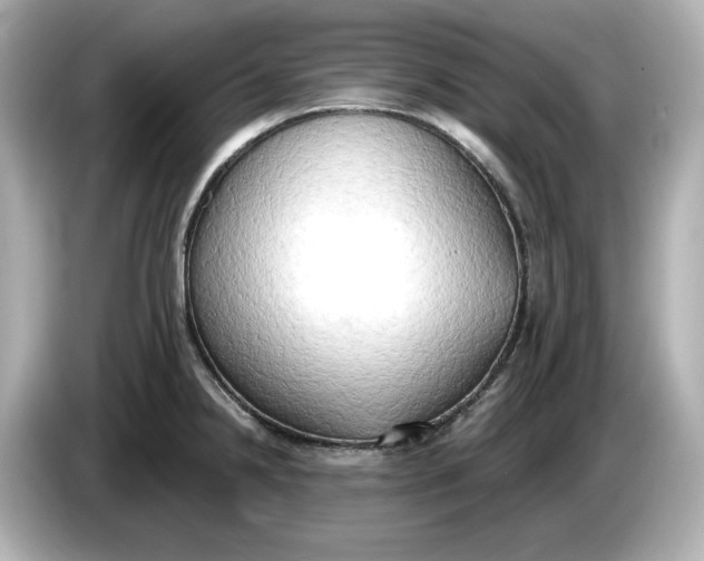 X0000086001238200704091031