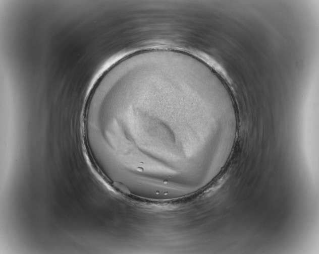 X0000086001239200704091032