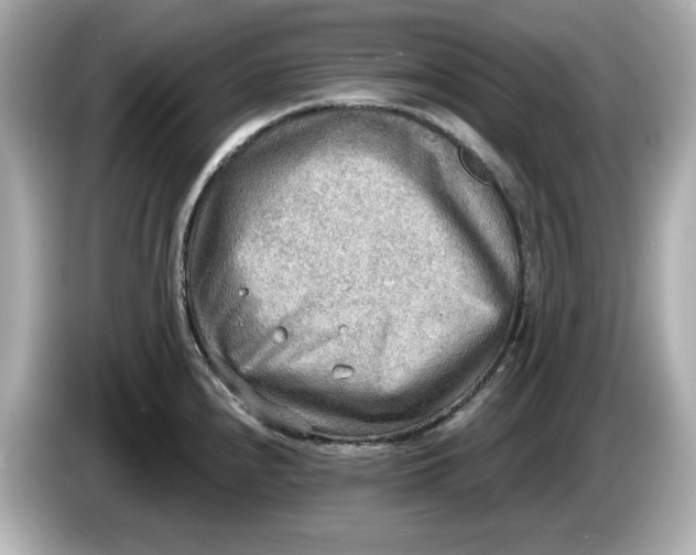 X0000086001240200704091032