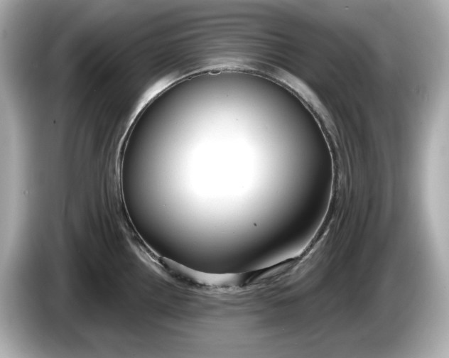 X0000086001242200704091032