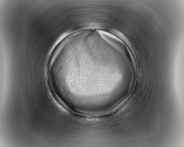 X0000086001243200704091032