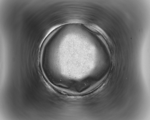 X0000086001244200704091032