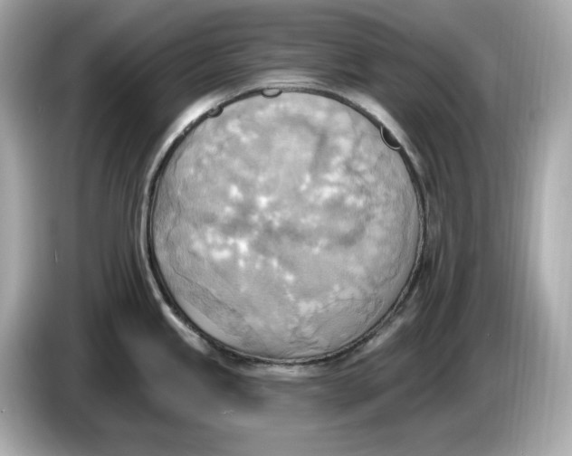 X0000086001245200704091032