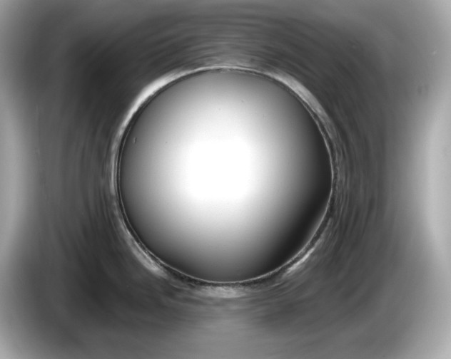 X0000086001246200704091032