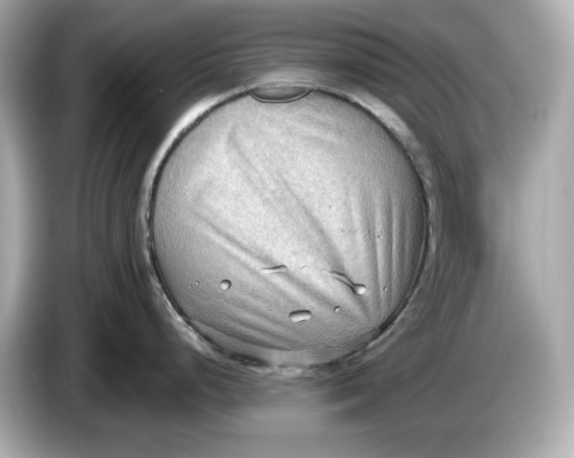 X0000086001248200704091032