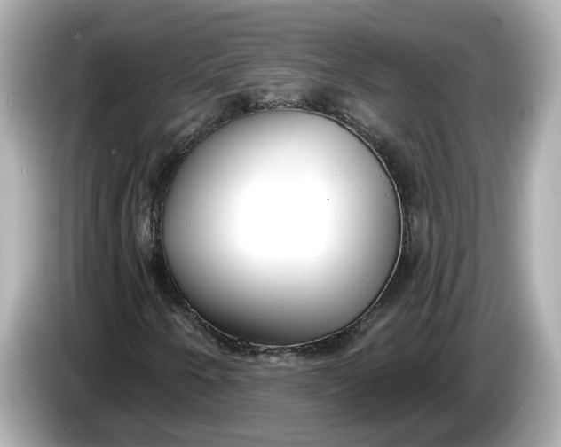 X0000086001250200704091031