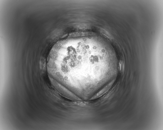 X0000086001251200704091031