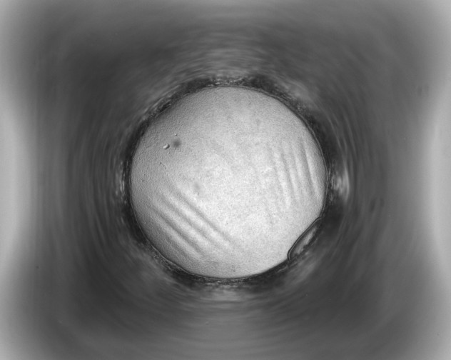 X0000086001252200704091031