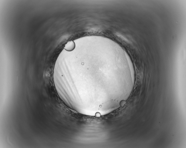 X0000086001254200704091031