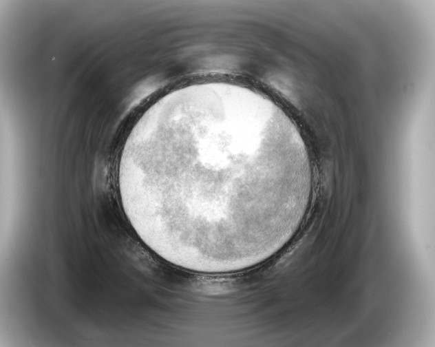 X0000086001258200704091031