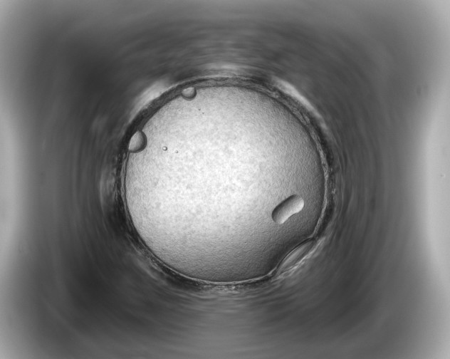 X0000086001259200704091031