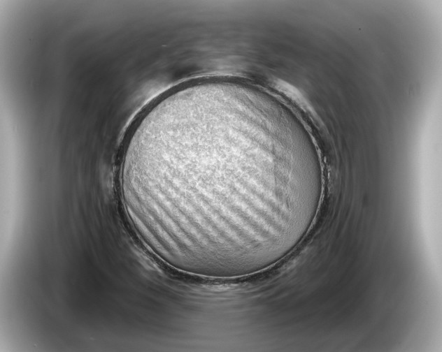 X0000086001260200704091031