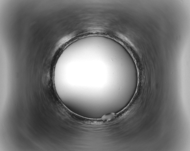 X0000086001261200704091031