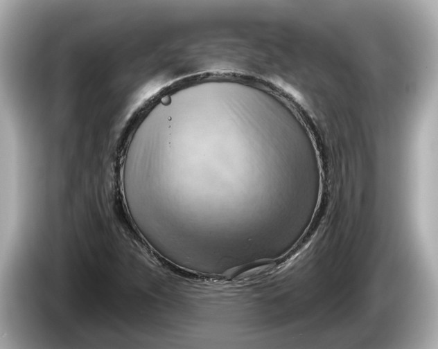 X0000086001263200704091031