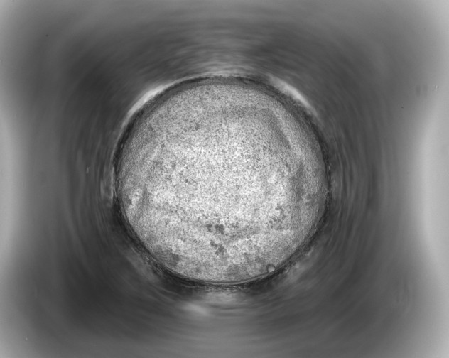 X0000086001267200704091031