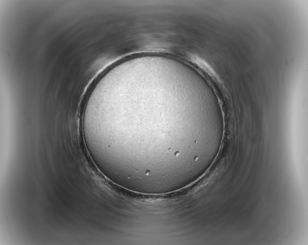 X0000086001268200704091031