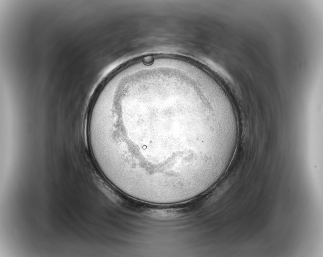 X0000086001272200704091031