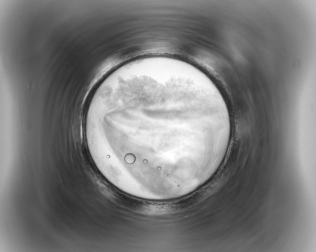 X0000086001274200704091031