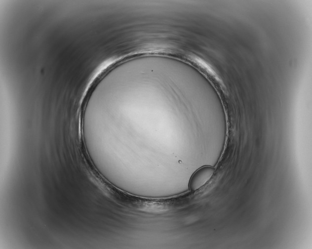 X0000086001275200704091031