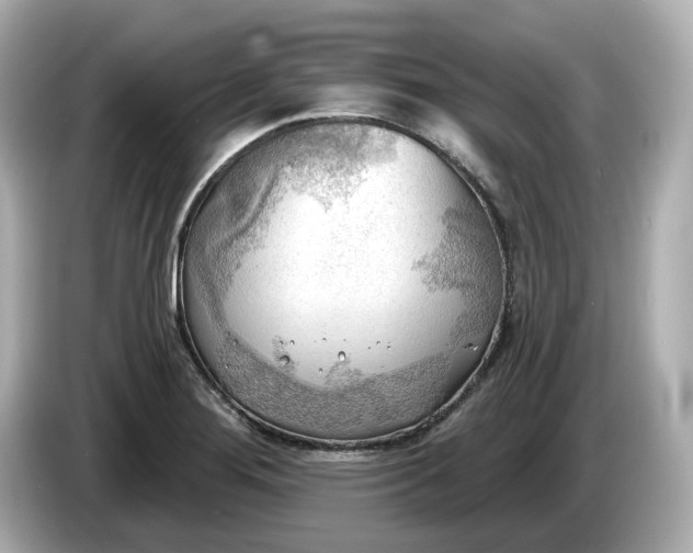 X0000086001276200704091031