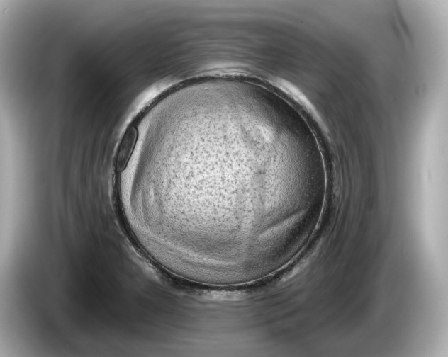 X0000086001277200704091031