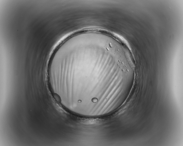 X0000086001279200704091031